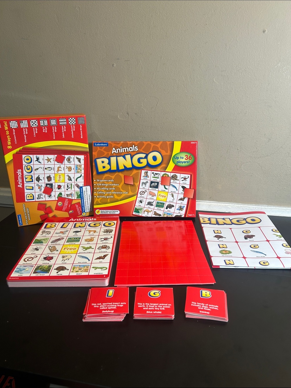 Lakeshore Learning Animals Bingo Game